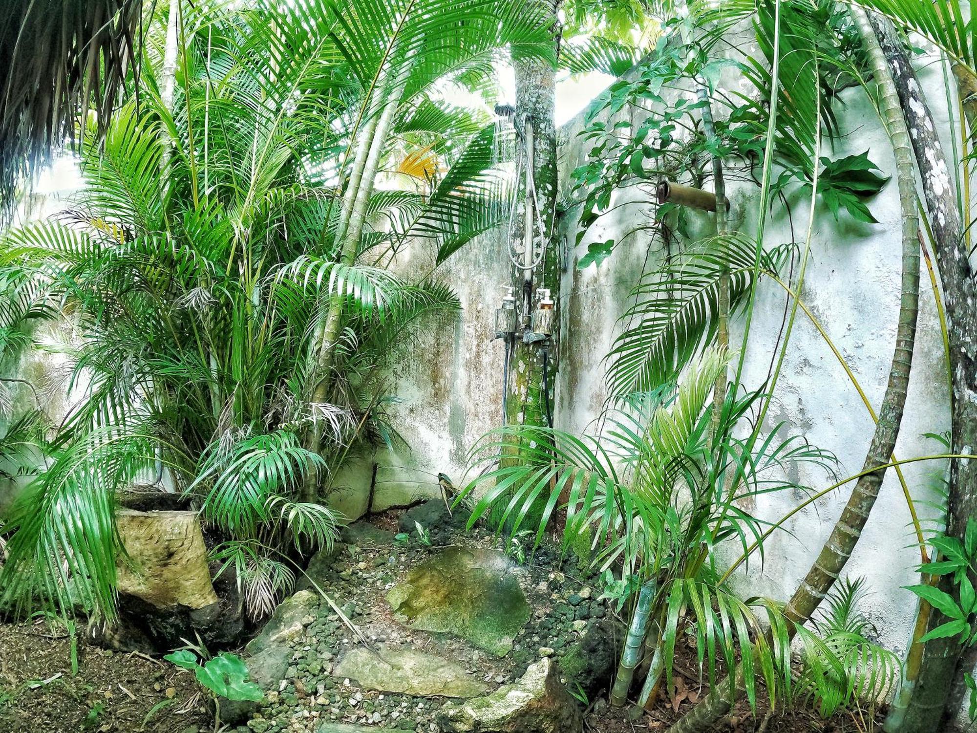 מלון לאס טרנאס Dream Glamping Jungle Bohio מראה חיצוני תמונה