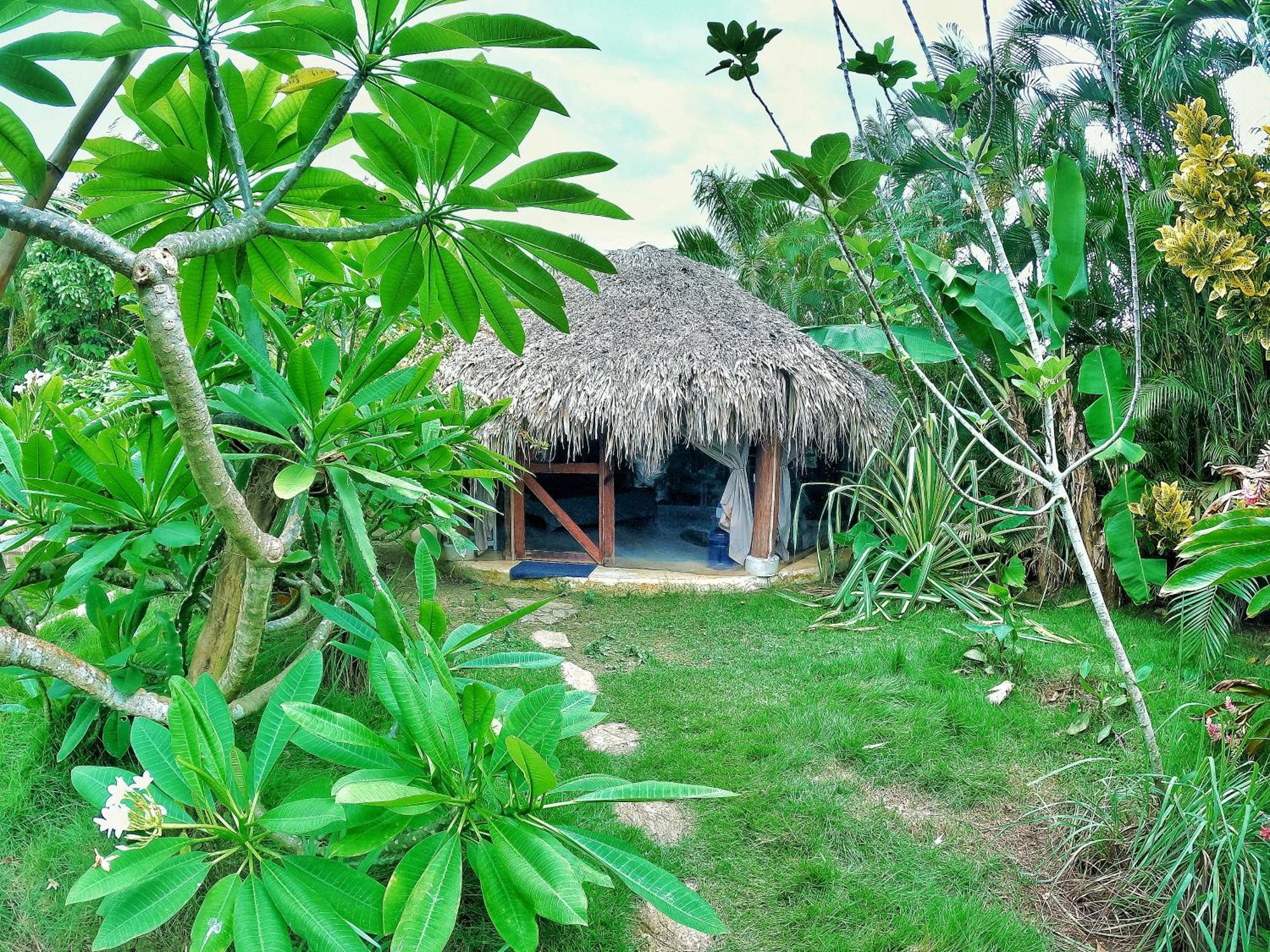 מלון לאס טרנאס Dream Glamping Jungle Bohio מראה חיצוני תמונה