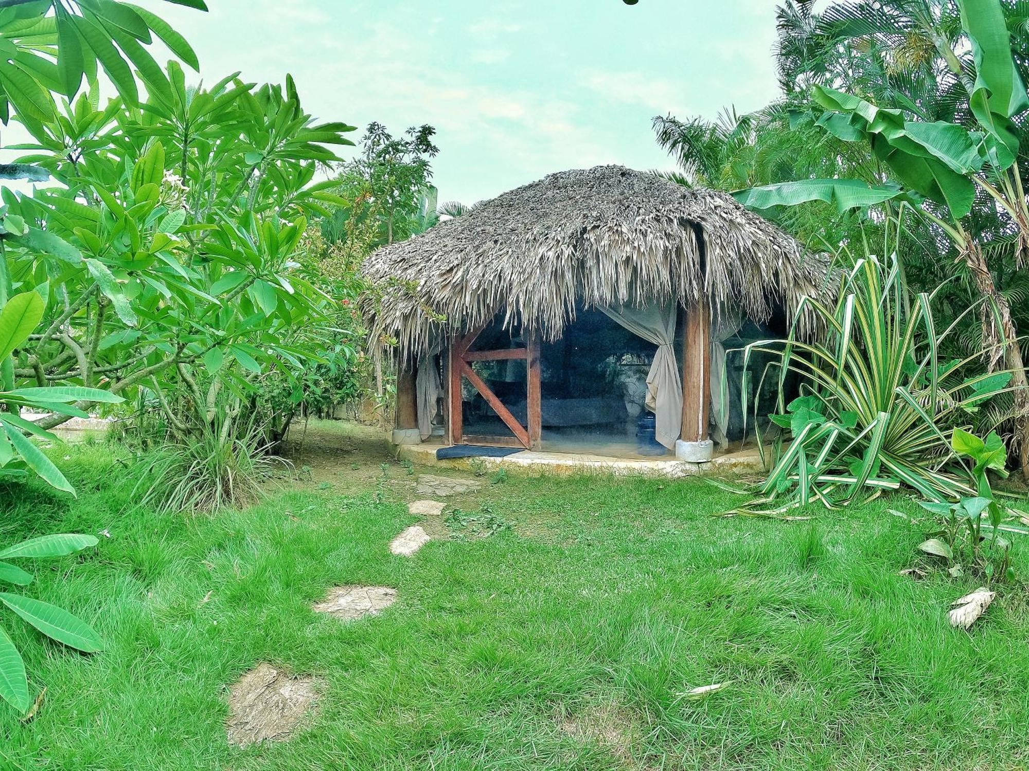 מלון לאס טרנאס Dream Glamping Jungle Bohio מראה חיצוני תמונה